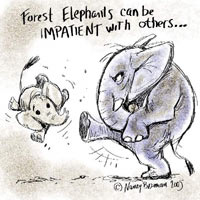 Nancy BEIMAN’S BLOG