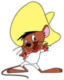 SPEEDY RACES VOLKSWAGEN