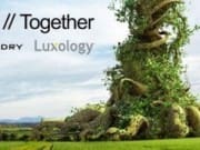 founry_Lux5061cb6405b12