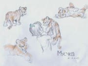 Mushka