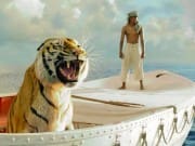 Life Of Pi