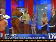 scoobyfox scoobyfox