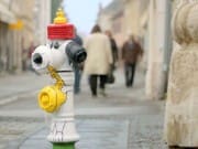 snoopy-platige