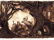 w-Nicolas Weis-oiseau-o Nicolas Weis