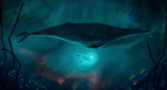 This whale in Cartoon Saloon's "Song of the Sea" was animated using Anime Studio Pro. (Click to enlarge.)