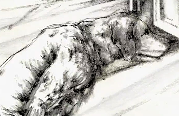 stilllife_kevineskew