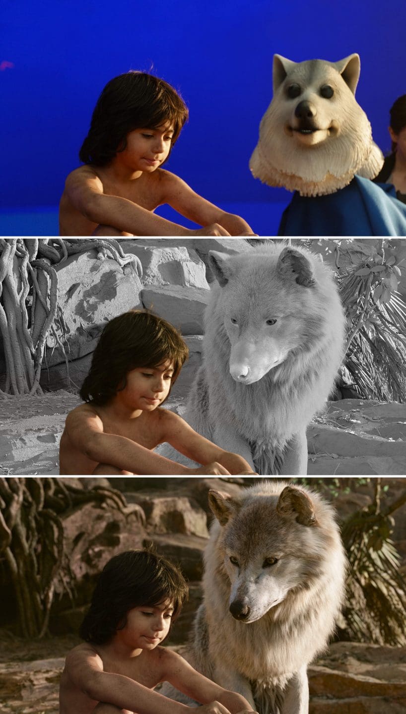 Neel Sethi (Mowgli) performed on the bluescreen set with a puppeteered version of Raksha the wolf. MPC built a digital version of Raksha, as well as a completely synthetic environment. The final render made use of Pixar RenderMan’s new RIS raytracing technology to provide for photorealistic results.