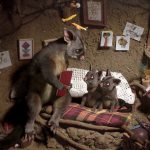 accidentsblunderscalamities