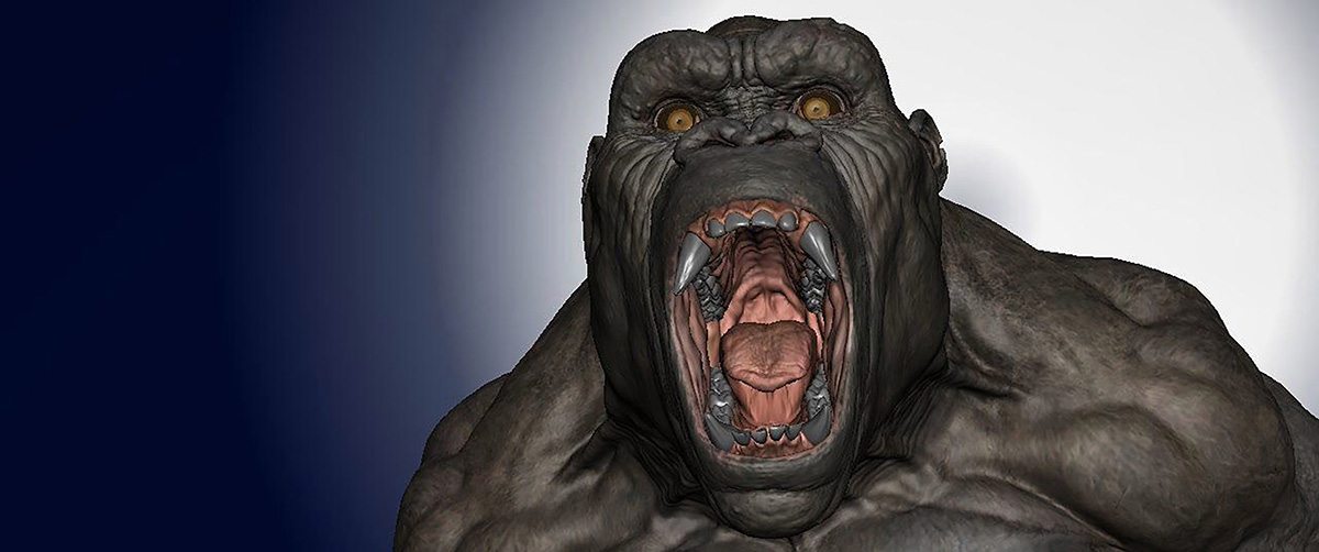 CG model of Kong.