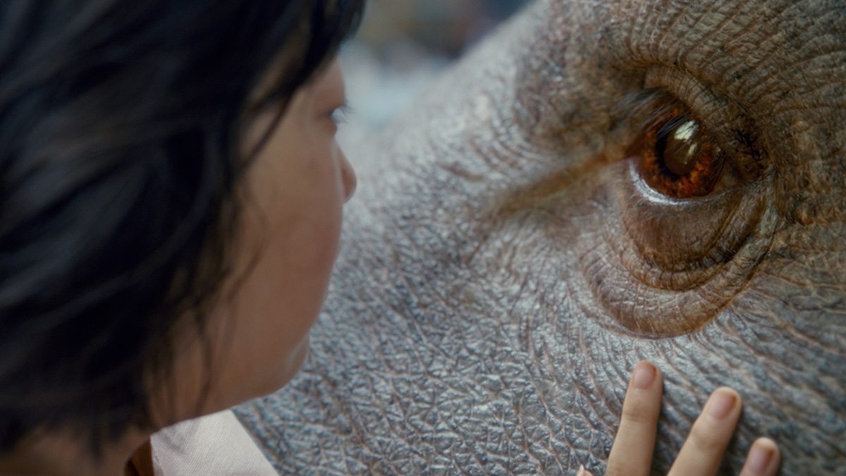 Eyes were an important part of selling Okja's personality.