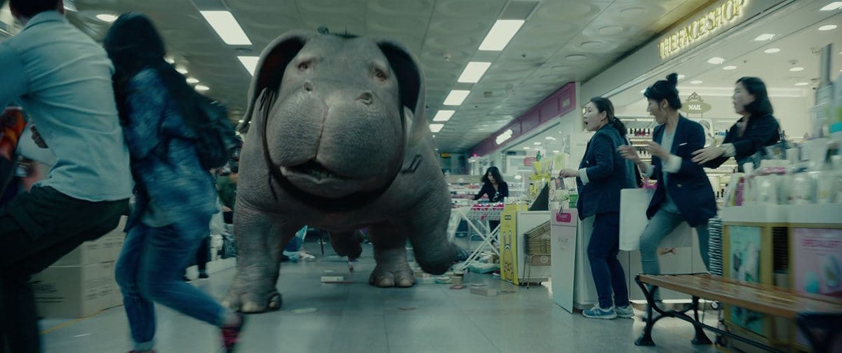 Okja makes several bids for freedom in the film.