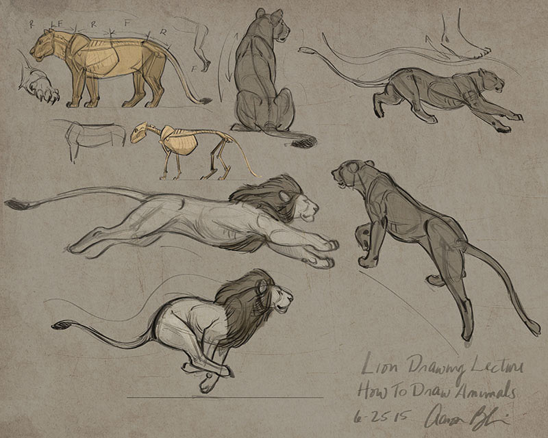 Aaron Blaise Explains The Essentials Of Animal Drawing [Exclusive Video]
