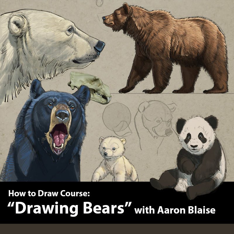Aaron Blaise Explains The Essentials Of Animal Drawing [Exclusive Video]
