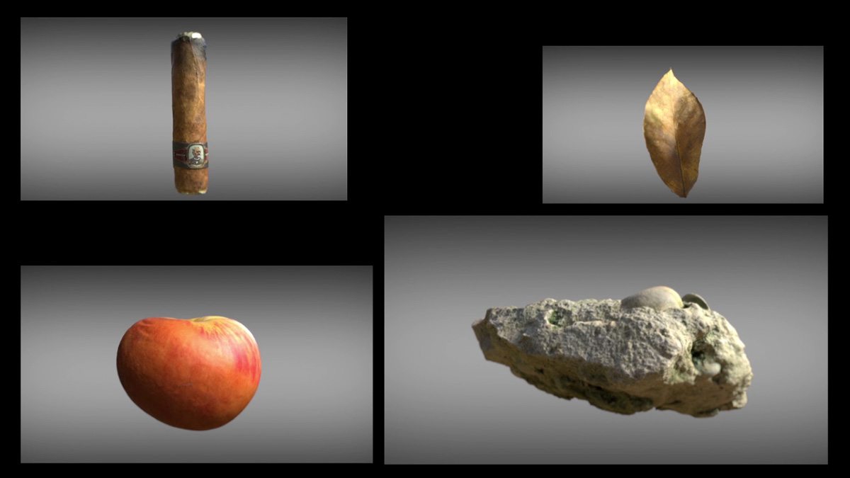 Some of the photogrammetry models used in the short.