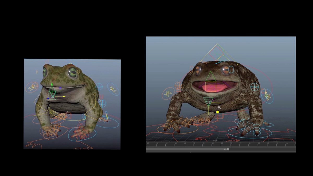 Frog model.
