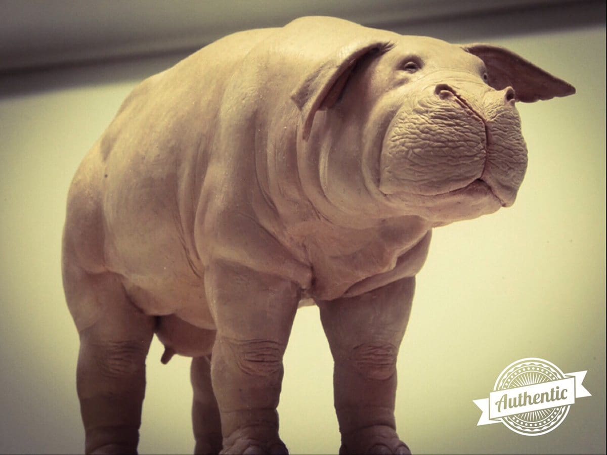 The Okja maquette, made by Hee-Chol, shared with Erik De Boer in 2015. 