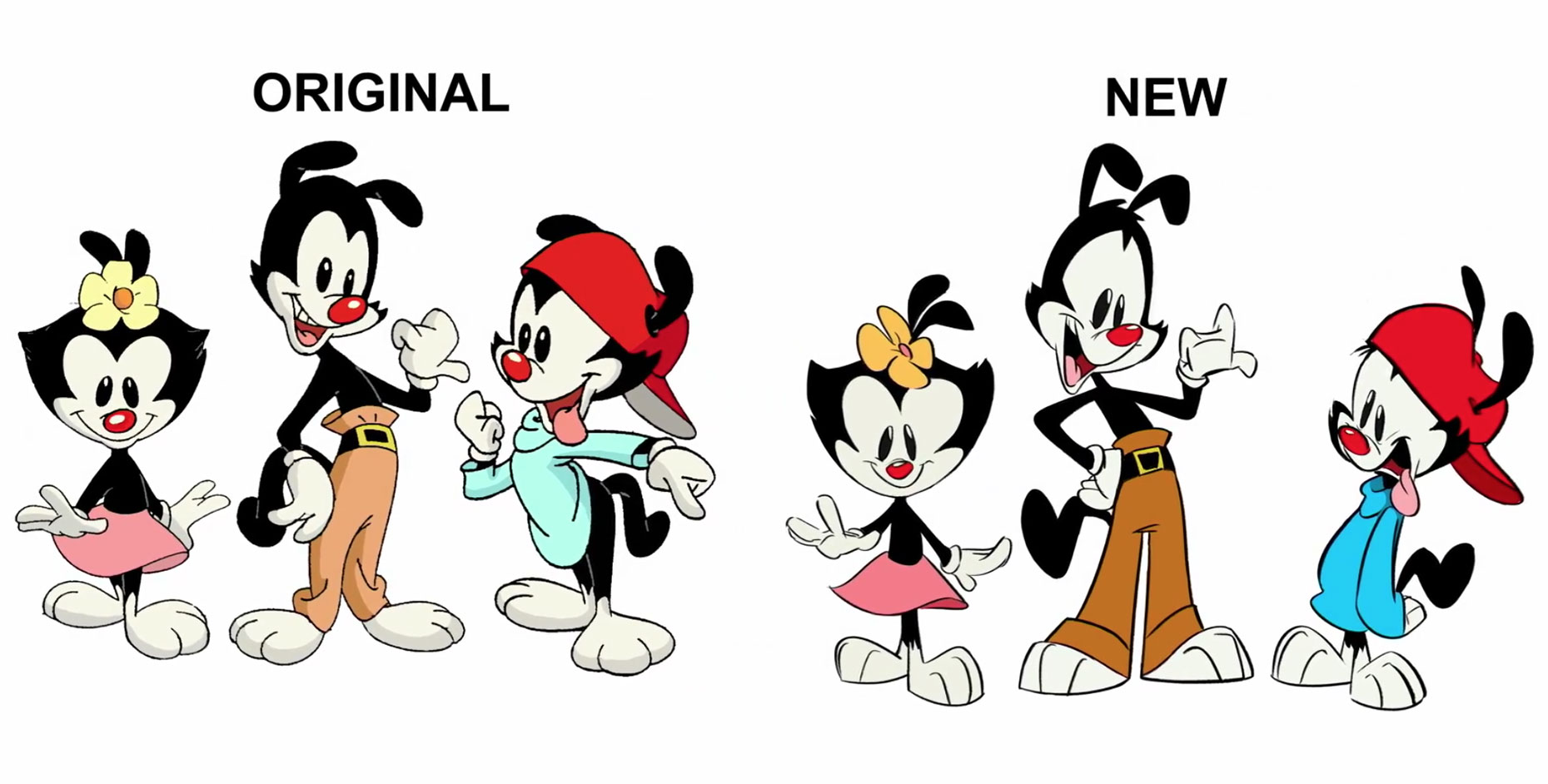 How The Creators Of Hulu's 'Animaniacs' Reboot Subtly Updated The Look Of  The Series
