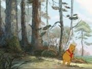 3_1323427879_WTPOOH_001_L