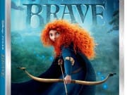 BraveSupersetComboArt