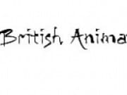 British-Animation-Awards-2008-shortlist-e1321879916232