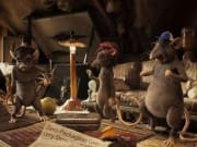 PLDIA_ZeroRats_1122110