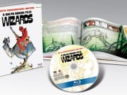 WIZARDS_Open_Book_Pkg