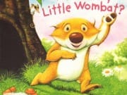 Where-to-Little-Wombat_01