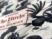 castingbirds