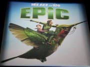 epic_licensing
