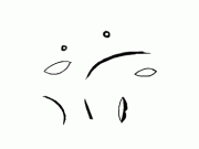 eyeworks_face