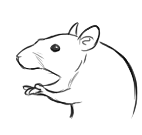 Clapping Mouse