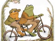 frogtoad1