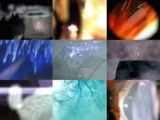 hertzfeldt2012