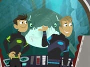 kratts