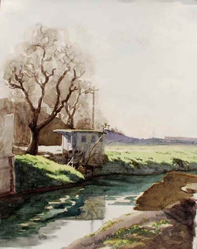 Bob McIntosh