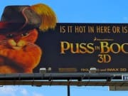 pussbillboard
