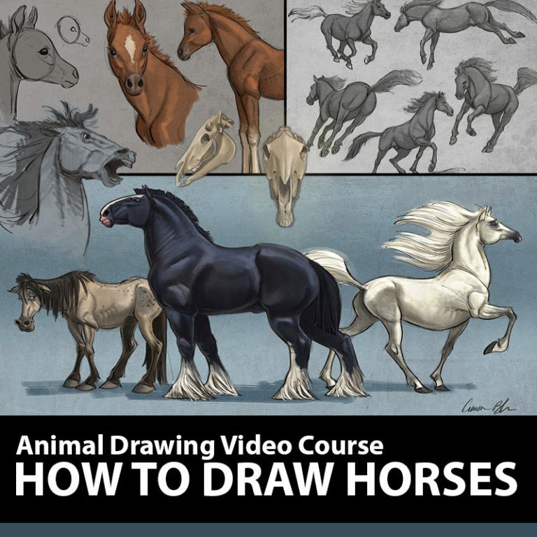Aaron Blaise Explains The Essentials Of Animal Drawing