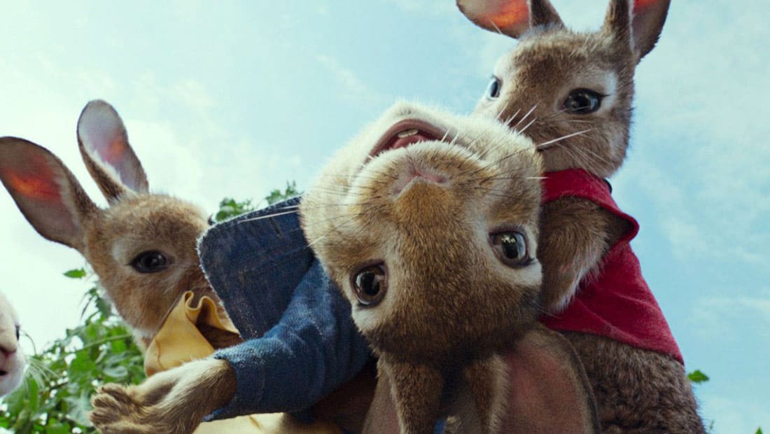 Peter Rabbit's Next 'Peter Rabbit' Is Getting A Sequel