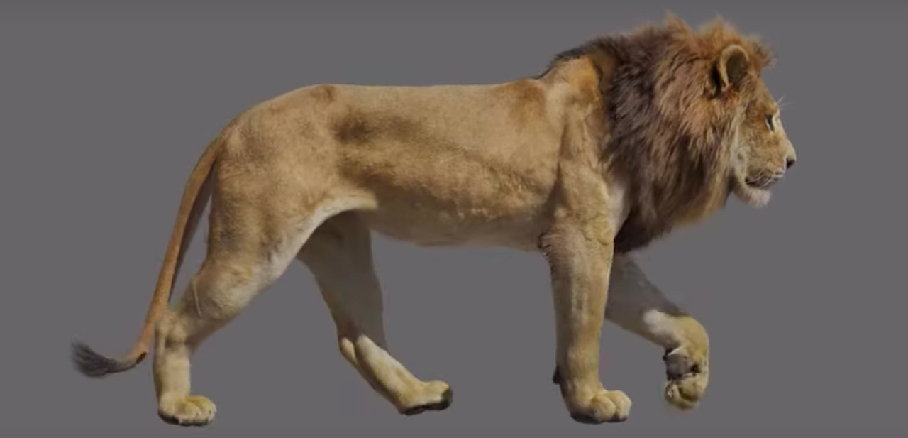 Four Resources That Will Help You Understand How The New Lion King Was Made
