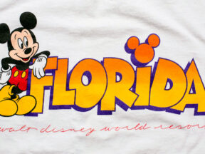Mickey Mouse in Florida