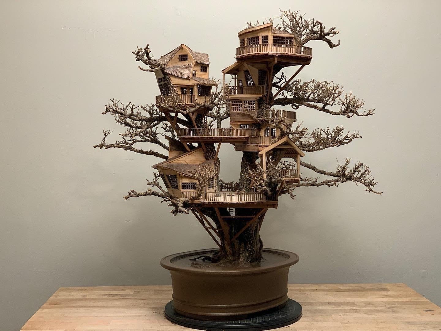 Dave Creek’s Traveling Treehouses