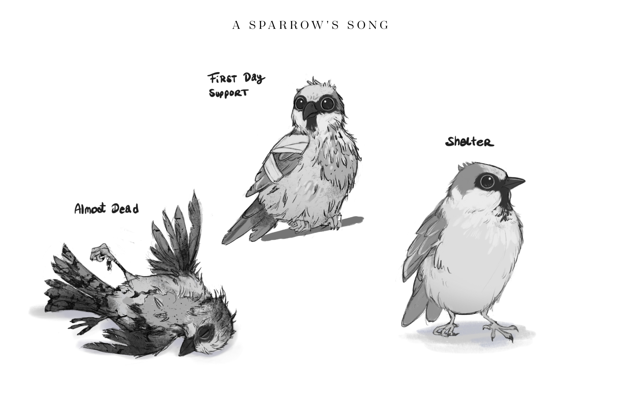 A Sparrows Song