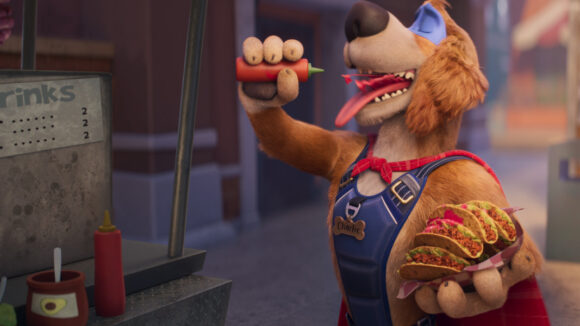 Charlie The Wonderdog