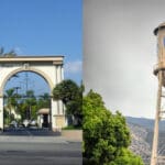 Paramount, Warner Bros.