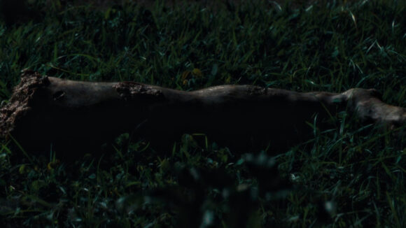 Secret Agent Hairy Leg