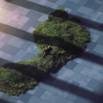 The Untranslatable Forest