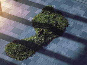 The Untranslatable Forest