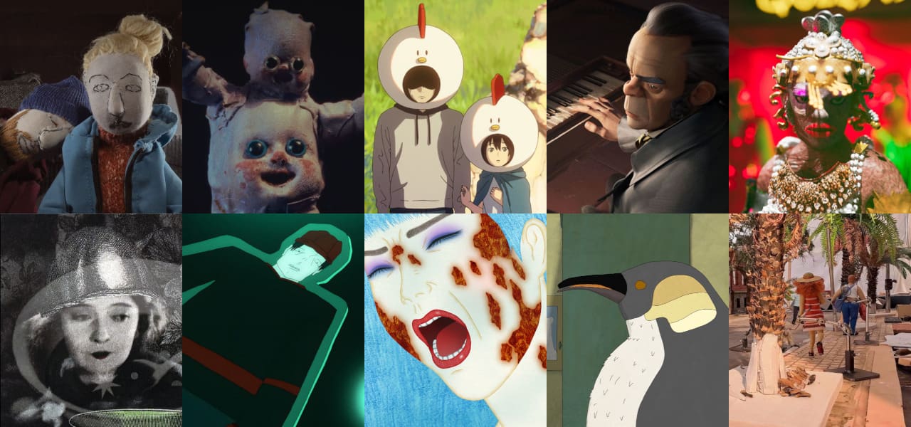 Annecy Shorts 2026