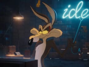 Coyote vs Acme