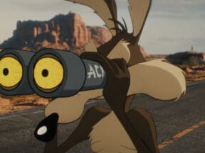 Coyote Vs Acme